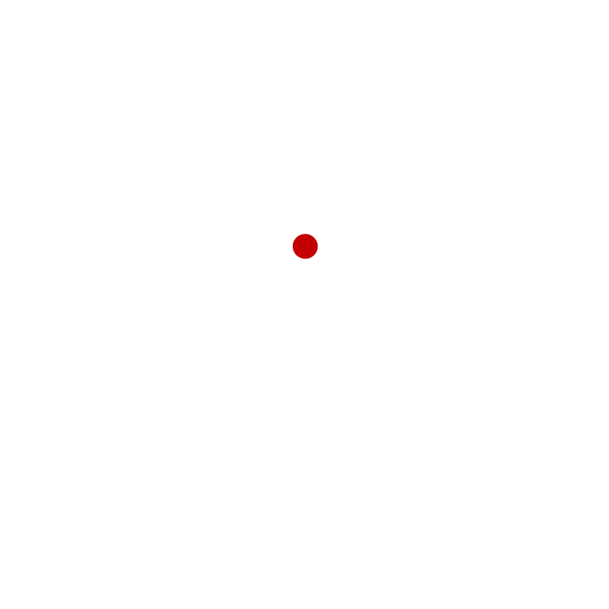 Z&H Designs - Sound Vision Works